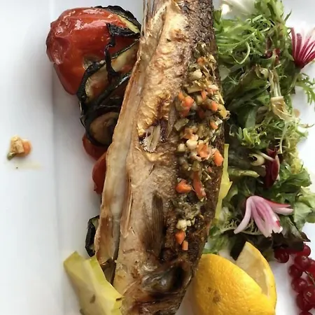 Otel La Cle Des Champs Le Teilleul